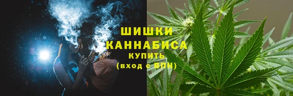 амф Вяземский