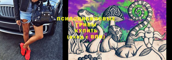 Альфа ПВП Гусь-Хрустальный