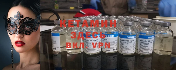 индика Тобольск
