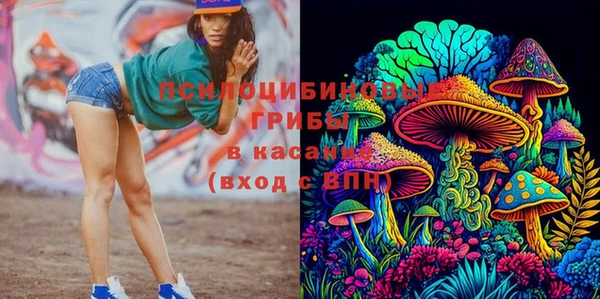 не бодяженный Гусиноозёрск